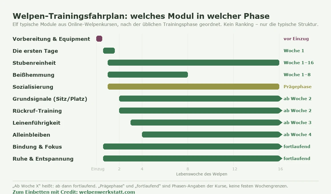 Zeitleiste mit elf typischen Modulen aus Online-Welpenkursen, jeweils in ihrer üblichen Trainingsphase über die ersten sechzehn Lebenswochen. Vorbereitung und Equipment: vor dem Einzug. Die ersten Tage: Woche 1. Stubenreinheit: Woche 1 bis 16. Beißhemmung: Woche 1 bis 8. Sozialisierung: Prägephase. Grundsignale Sitz und Platz: ab Woche 2. Rückruf-Training: ab Woche 2. Leinenführigkeit: ab Woche 3. Alleinbleiben: ab Woche 4. Bindung und Fokus: fortlaufend. Ruhe und Entspannung: fortlaufend. „Ab Woche X
